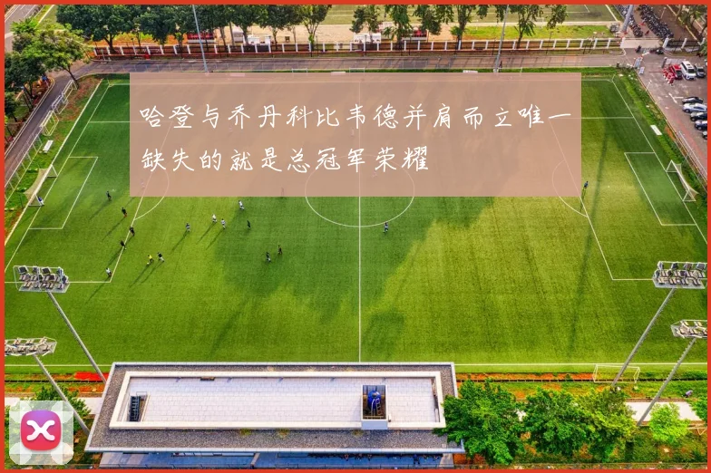 哈登与乔丹科比韦德并肩而立唯一缺失的就是总冠军荣耀
