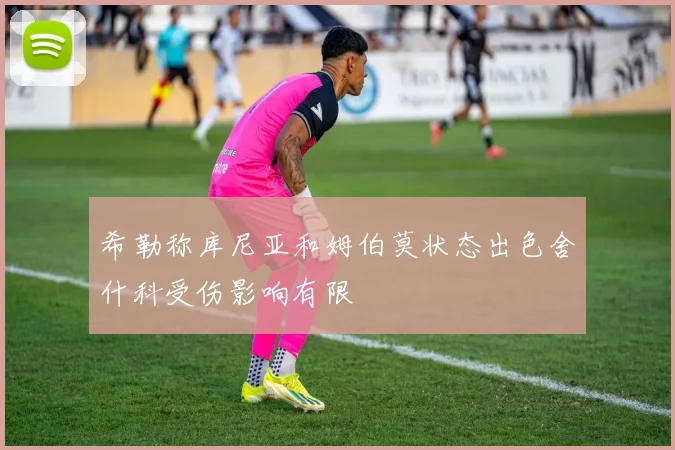 希勒称库尼亚和姆伯莫状态出色舍什科受伤影响有限