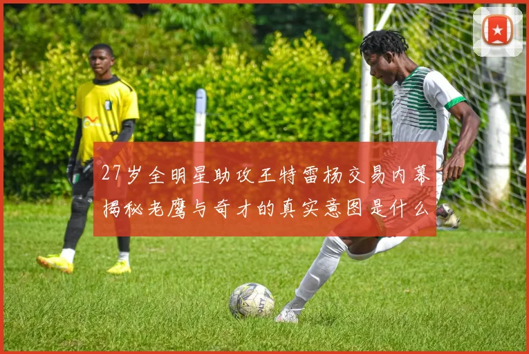 27岁全明星助攻王特雷杨交易内幕揭秘老鹰与奇才的真实意图是什么