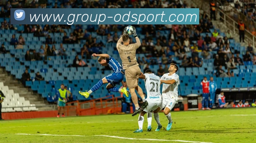 OD体育平台生态图